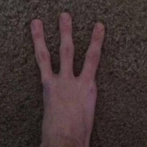 Meet your Posher, Sierra